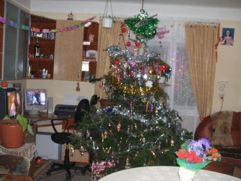 óriási karácsonyfa